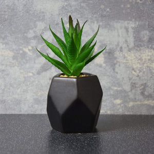 Spikey Succulent in Geometric Pot Black 11.5cm