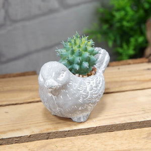 Mini Cement Bird Planter with succulent