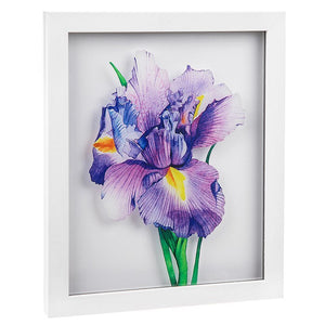 Iris Flower Picture with White Frame