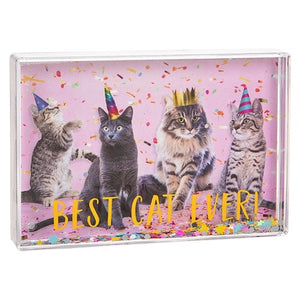 Best cat ever acrylic glitter photo shaker frame