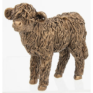 Highland cow calf - Bronze colour