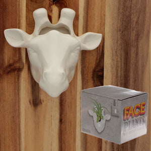 Giraffe wall mounted planter