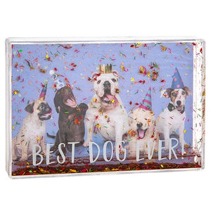 Best dog ever acrylic glitter shaker photo frame