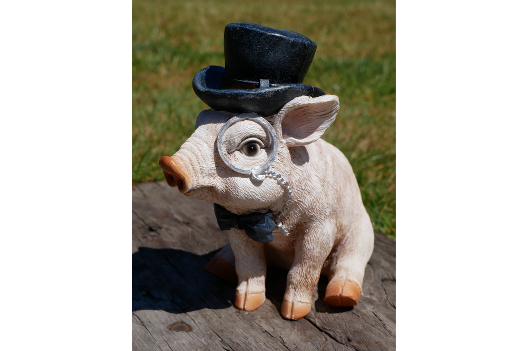 Garden pig ornament wearing monocle and top hat