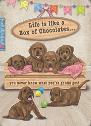 Chocolate labs metal wall sign