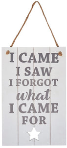 I came I saw I forgot what I came for wooden hanging sign