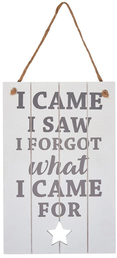 I came I saw I forgot what I came for wooden hanging sign