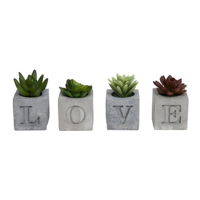 Cement Love Succulents