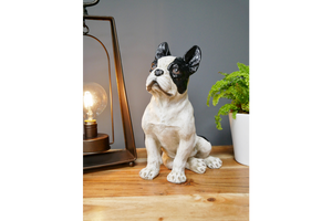 French bulldog sitting
