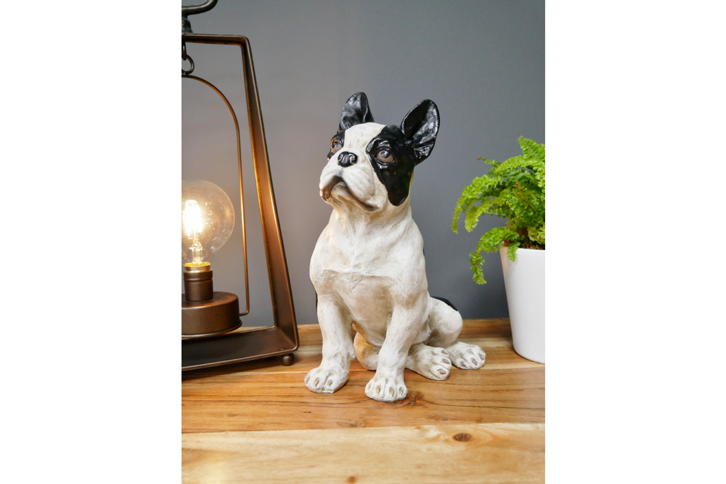 French bulldog sitting