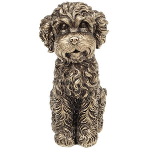 Sitting Cockapoo