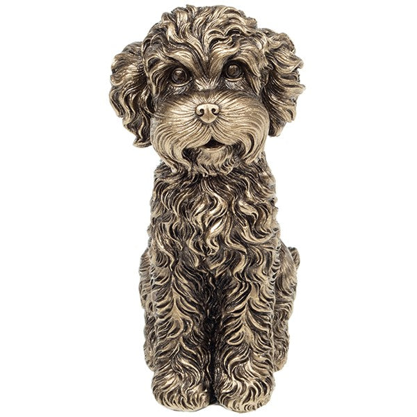 Sitting Cockapoo