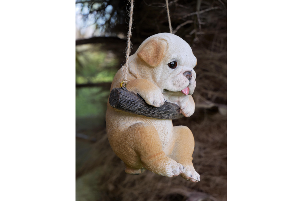 Hanging bulldog puppy